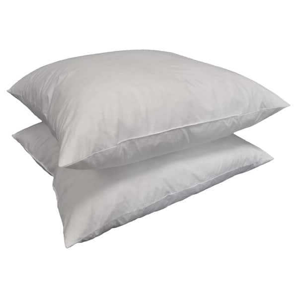 https://ak1.ostkcdn.com/images/products/9175763/Square-24-inch-Feather-Pillow-Insert-Set-of-2-153488b3-9012-4406-97b2-b979361a0fa8_600.jpg?impolicy=medium