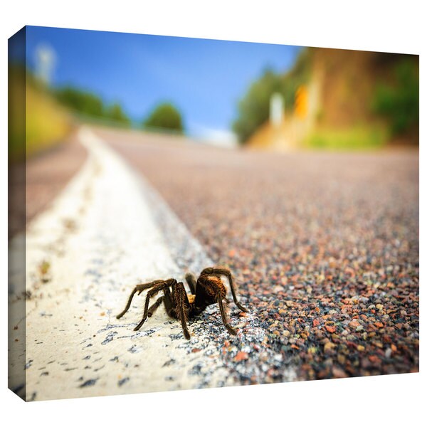 Cody York 'Tarantula' Gallery-wrapped Canvas - Bed Bath & Beyond