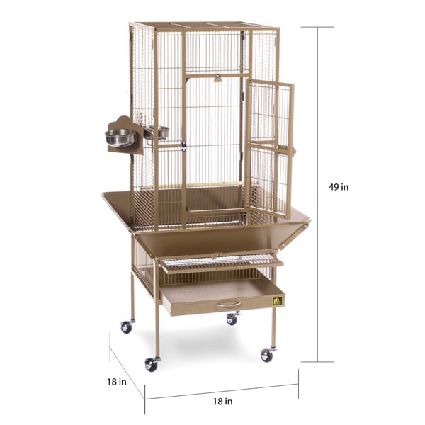 buy small bird cage