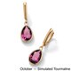 preview thumbnail 11 of 13, 18k Goldplated Sterling Silver Pear-Cut Birthstone Drop Earrings