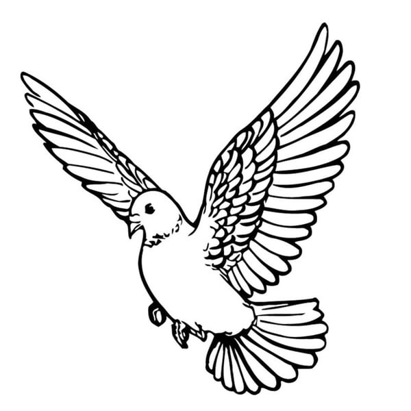 Shop Flying Dove Wall Vinyl Art - Free Shipping On Orders Over $45 ...
