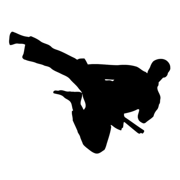 Shop Flying Kick Karate Wall Vinyl Art - Free Shipping On Orders Over ...