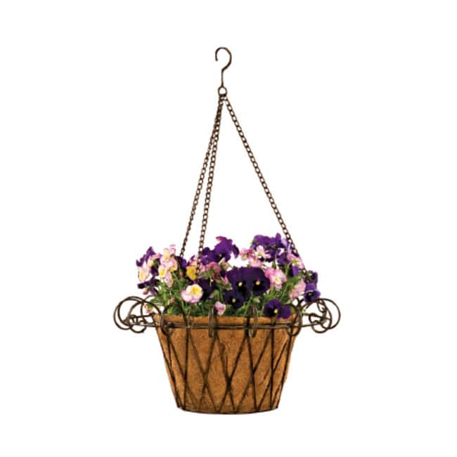 Deer Park Metal Flower Basket with Coco Liner
