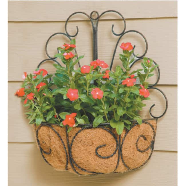 Deer Park Metal Peacock Wall Basket with Coco Liner