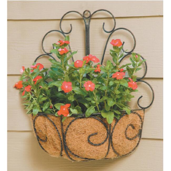 Deer Park Metal Peacock Wall Basket with Coco Liner