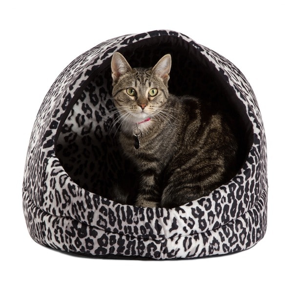 Pet carrier bed bath and beyond best sale