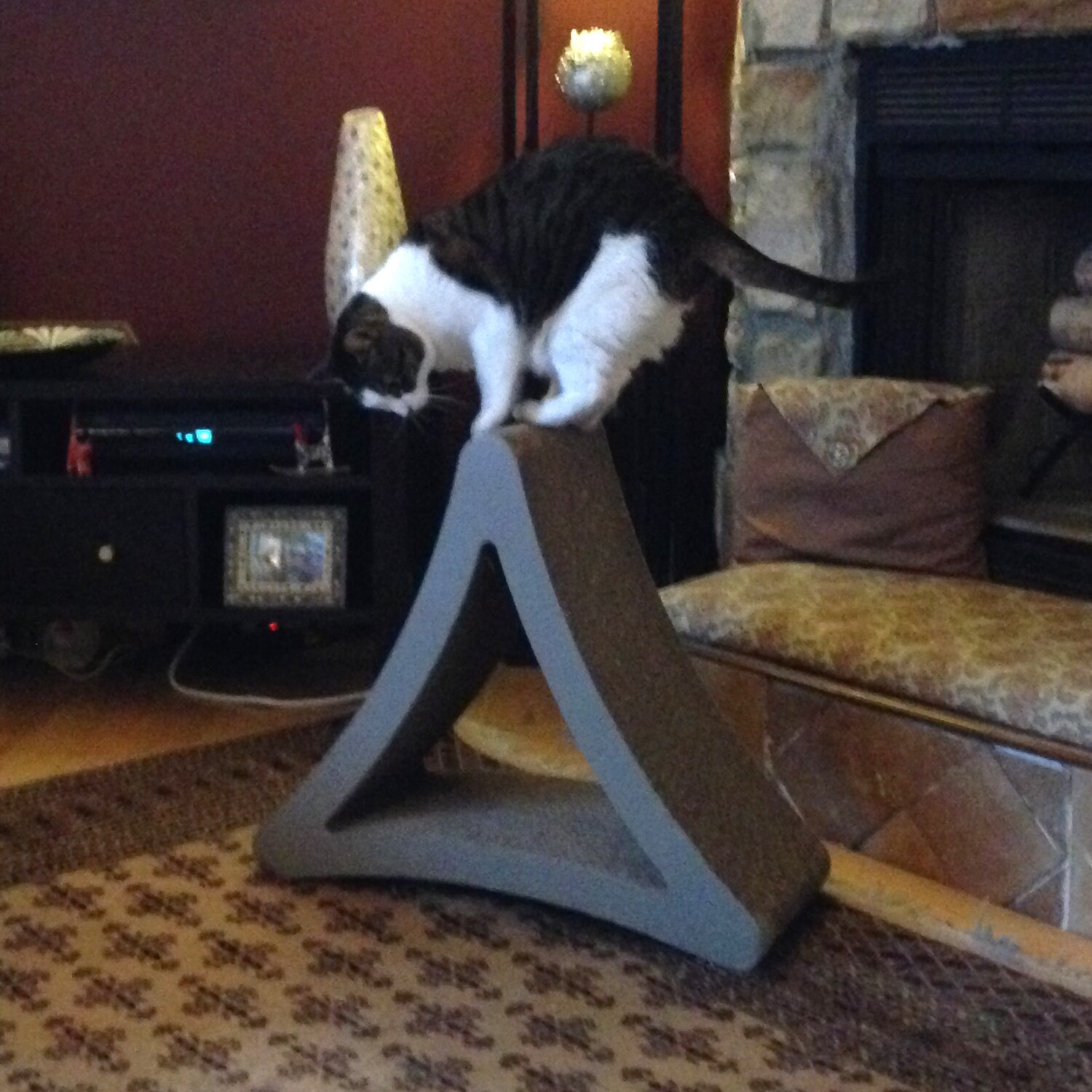 petfusion scratching post