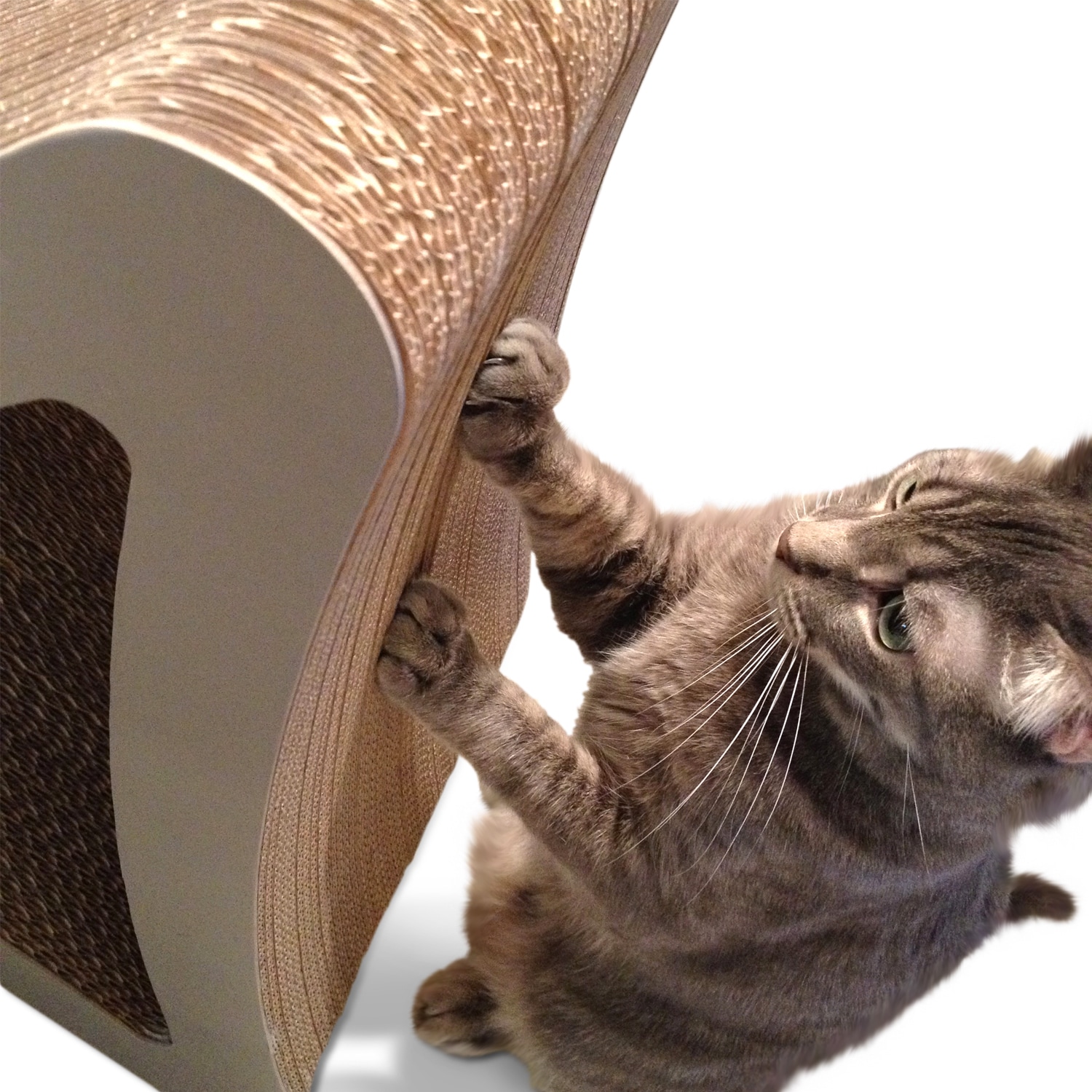 3 post cat scratcher