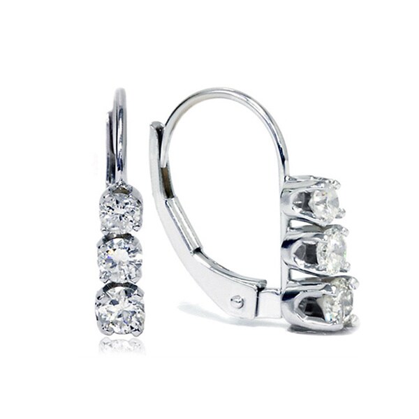 Shop Bliss 14k White Gold 1/2ct TDW Diamond Leverback Earrings - Free ...