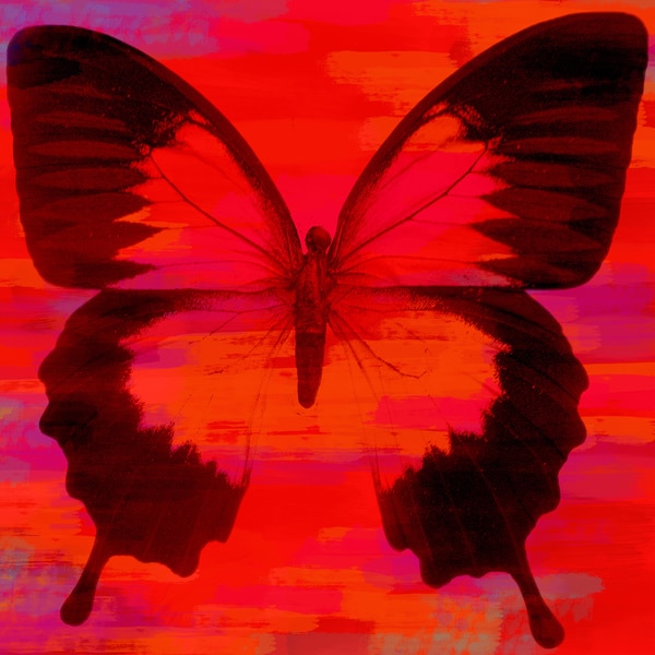 Art in Style Butterfly in Black, White and Yellow Giclee on Canvas