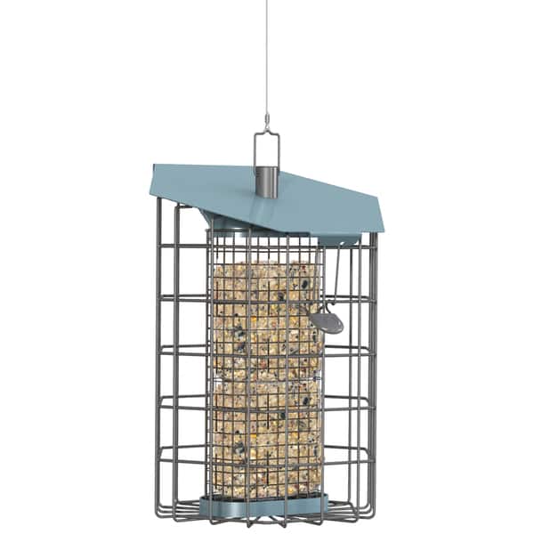 Shop The Nuttery Suet Bird Feeder Free Shipping Today