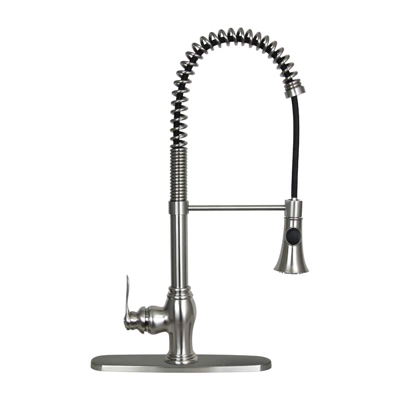 Dyconn Faucet Erie 22-inch Contemporary Brushed Nickel Flexible Swivel Kitchen Faucet