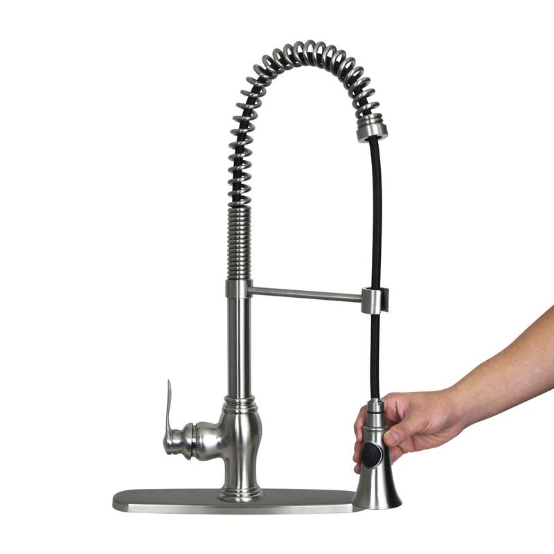 Dyconn Faucet Erie 22-inch Contemporary Brushed Nickel Flexible Swivel Kitchen Faucet