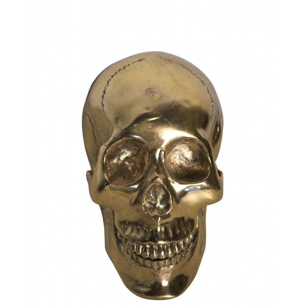 Mysterious Decorative Large Skull