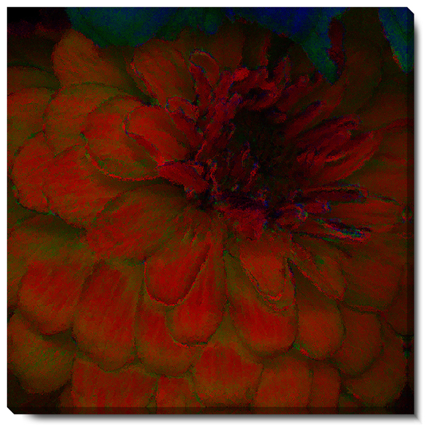 Studio Works Modern 'Red Dahlia' Fine Art Gallery Wrapped Canvas