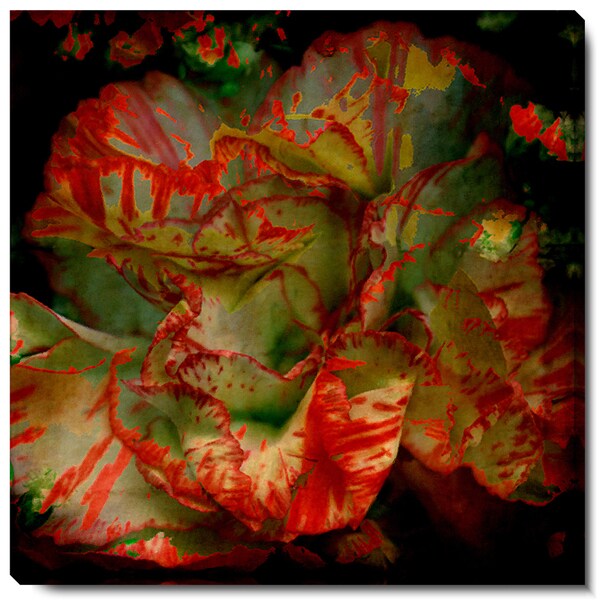 Studio Works Modern 'Deep Red Carnation' Fine Art Gallery Wrapped Canvas
