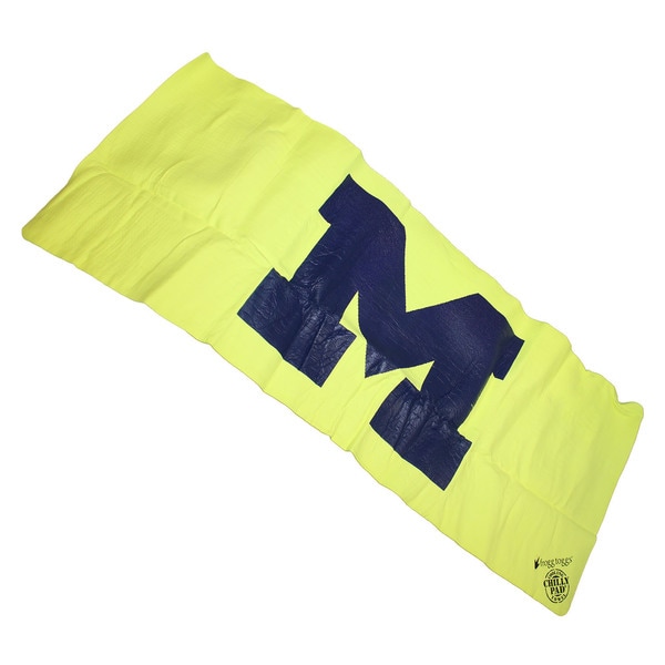 Frogg Toggs-Chilly Pad Sports South Carolina NCAA Cool Comfort Towel NCAA