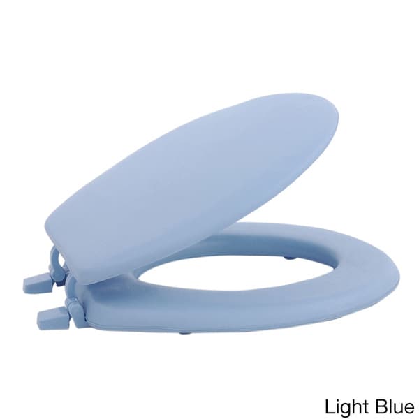 blue plastic toilet seat