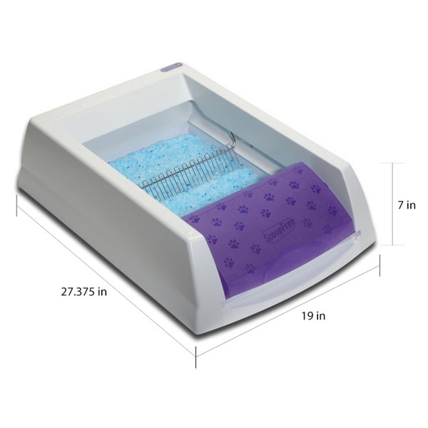 petsafe cat box