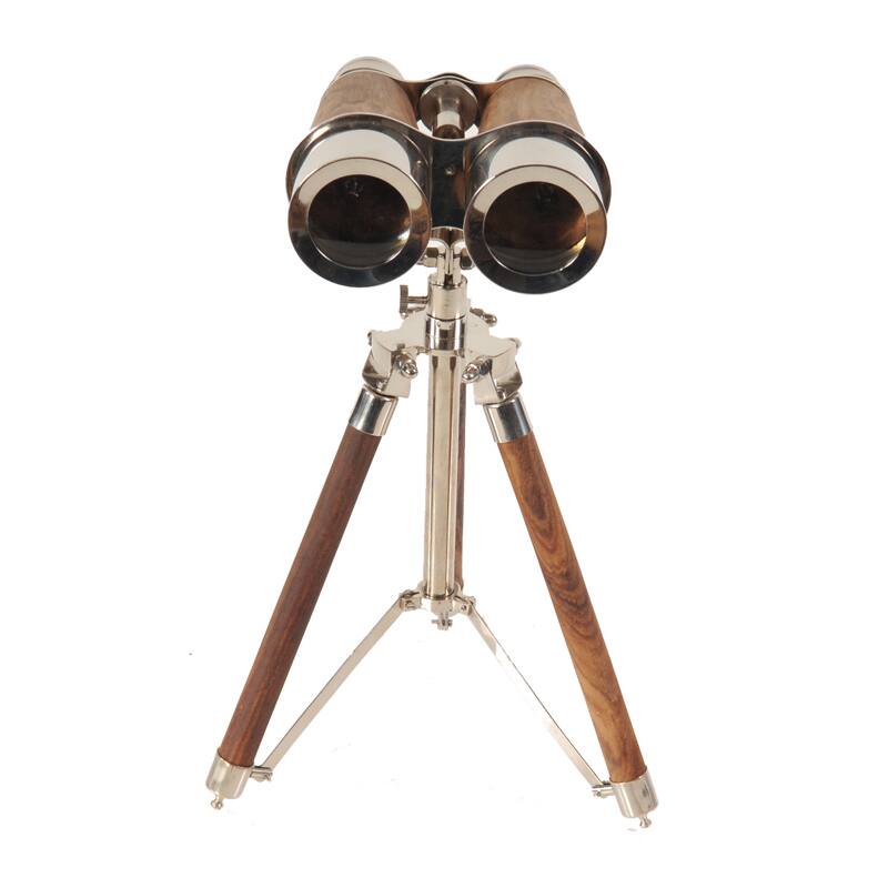 Brass Binocular on Display Stand
