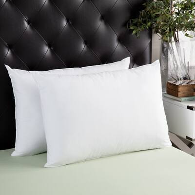 Splendorest Jumbo Sham Stuffer Pillows (Set of 2) - White