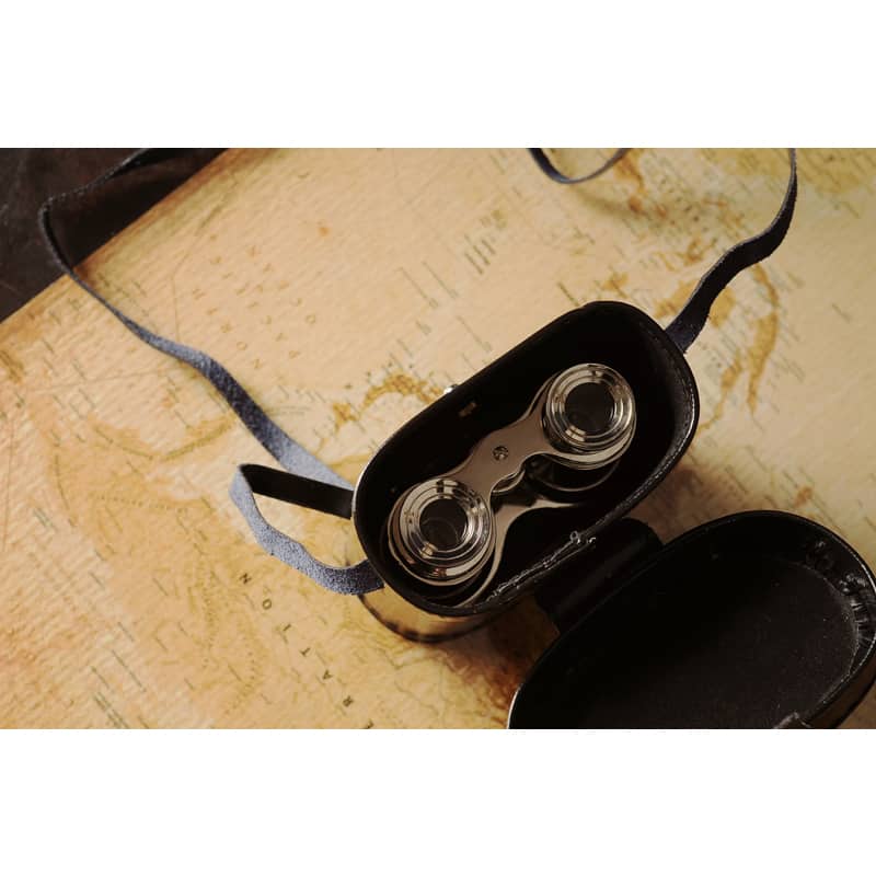 Decorative Aluminum Binoculars and Leather Case
