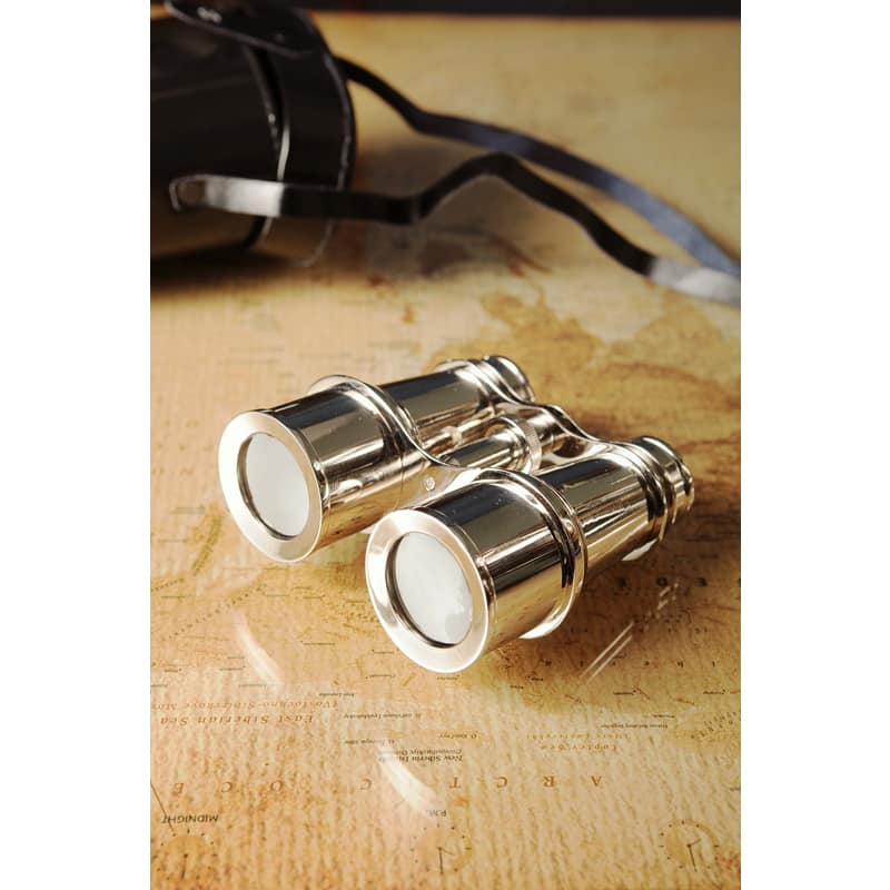 Decorative Aluminum Binoculars and Leather Case