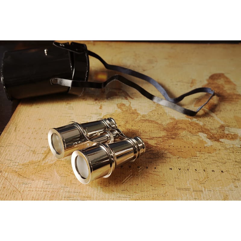 Decorative Aluminum Binoculars and Leather Case