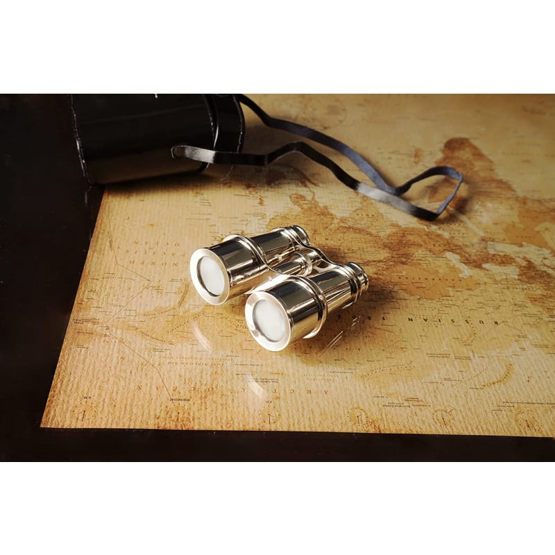 Decorative Aluminum Binoculars and Leather Case