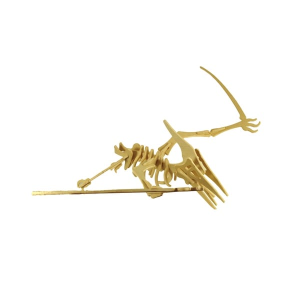 Small Pteranodon Puzzle Kit   Shopping