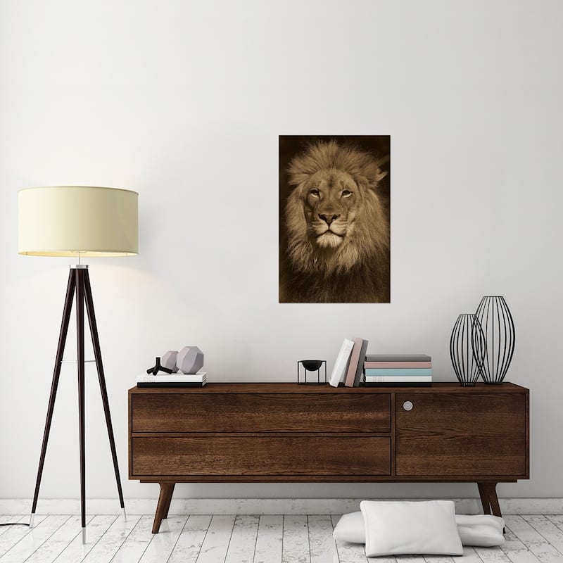 Global Gallery San Diego Zoo 'African Lion Male Portrait' Stretched ...