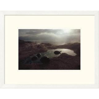 Global Gallery Tui De Roy 'galapagos Giant Tortoise Wallowing In Pool 