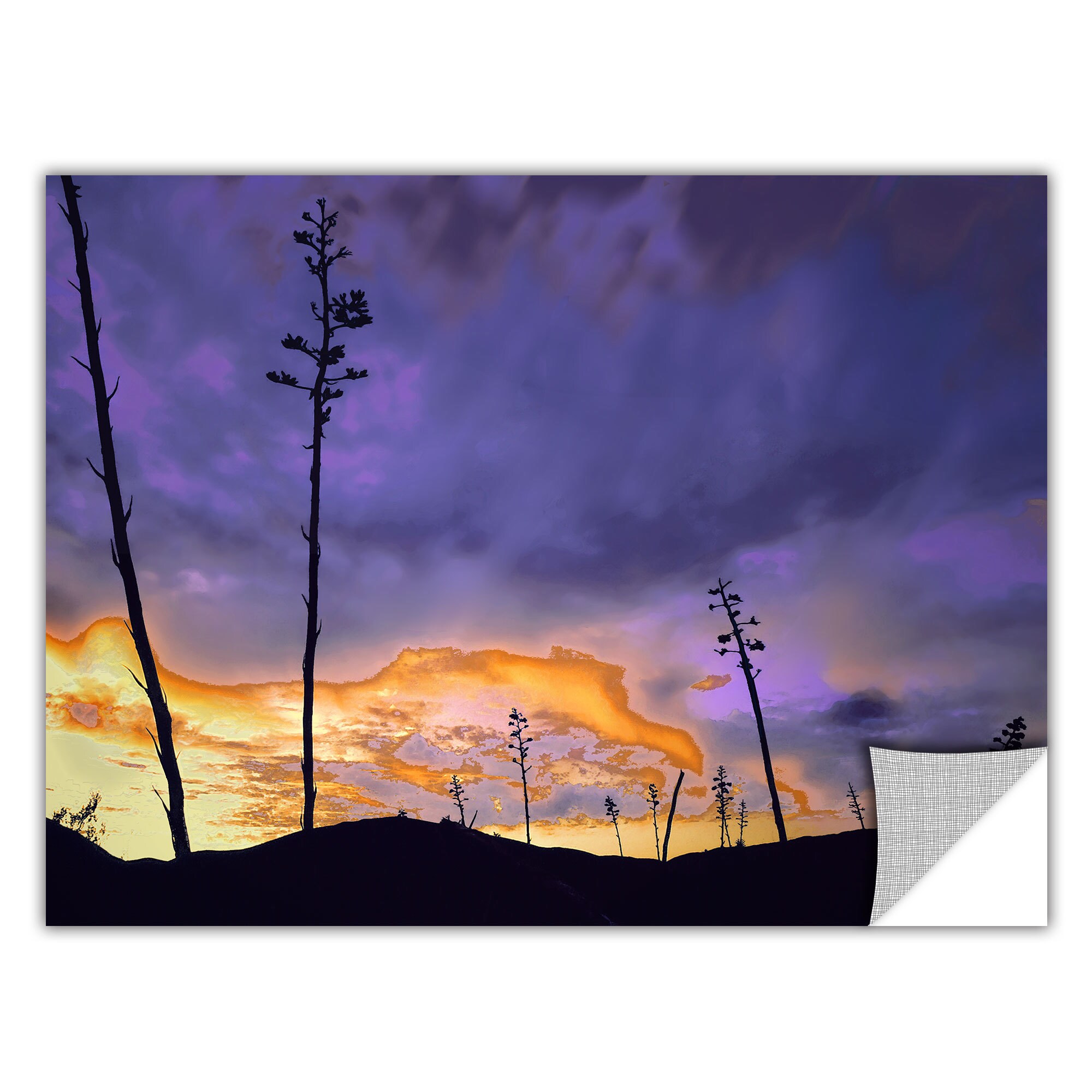 ArtWall Dean Uhlinger Natural Beauty Removable Graphic Wall Art 14 by 18-Inch ArtWall Dean Uhlinger Natural Beauty Removable Graphic Wall Art 14 by 18-Inch