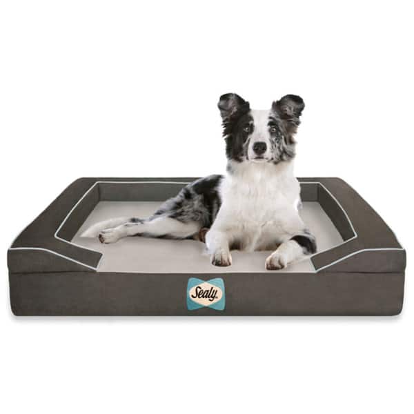 slide 1 of 5, Sealy Lux Quad-layered Orthopedic Foam Large Dog Bed