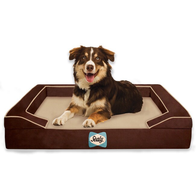 Sealy Lux Quad-layered Orthopedic Foam Large Dog Bed - Bed Bath