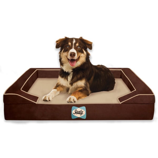 sealy lux dog bed