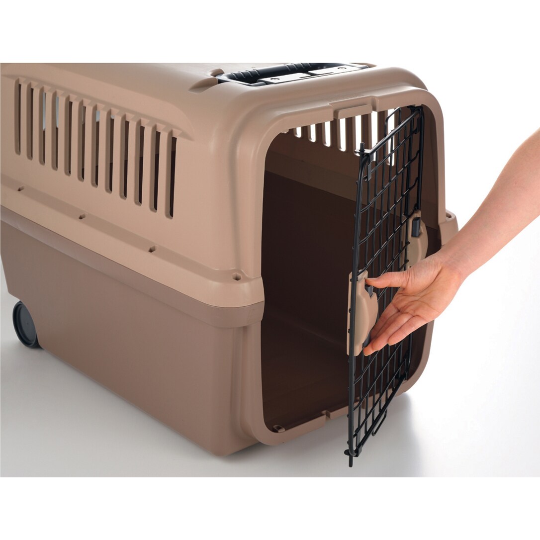 Richell Small Animal Carrier, 12 L X 19.5 W X 11.5 H