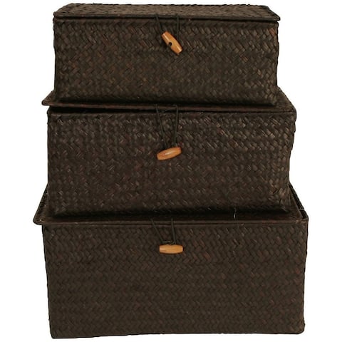 Wald Imports Brown Seagrass Trunks (Set of 3)
