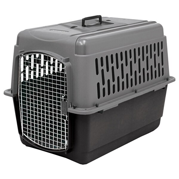 Shop Aspen Pet Porter Traditional Plastic Pet Kennel Free Shipping