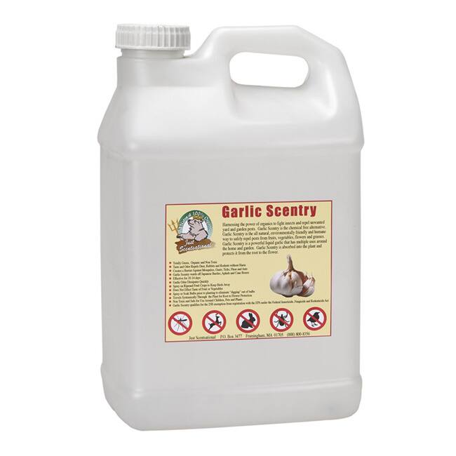 2.5 Gallon Garlic Scentry Concentrate Formula