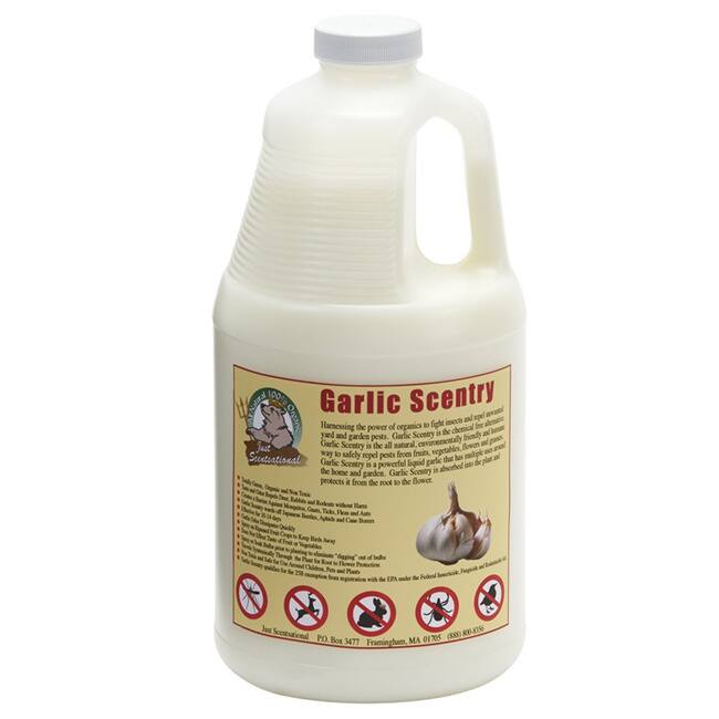 1/2 Gallon Garlic Scentry Concentrate Formula - Yellow