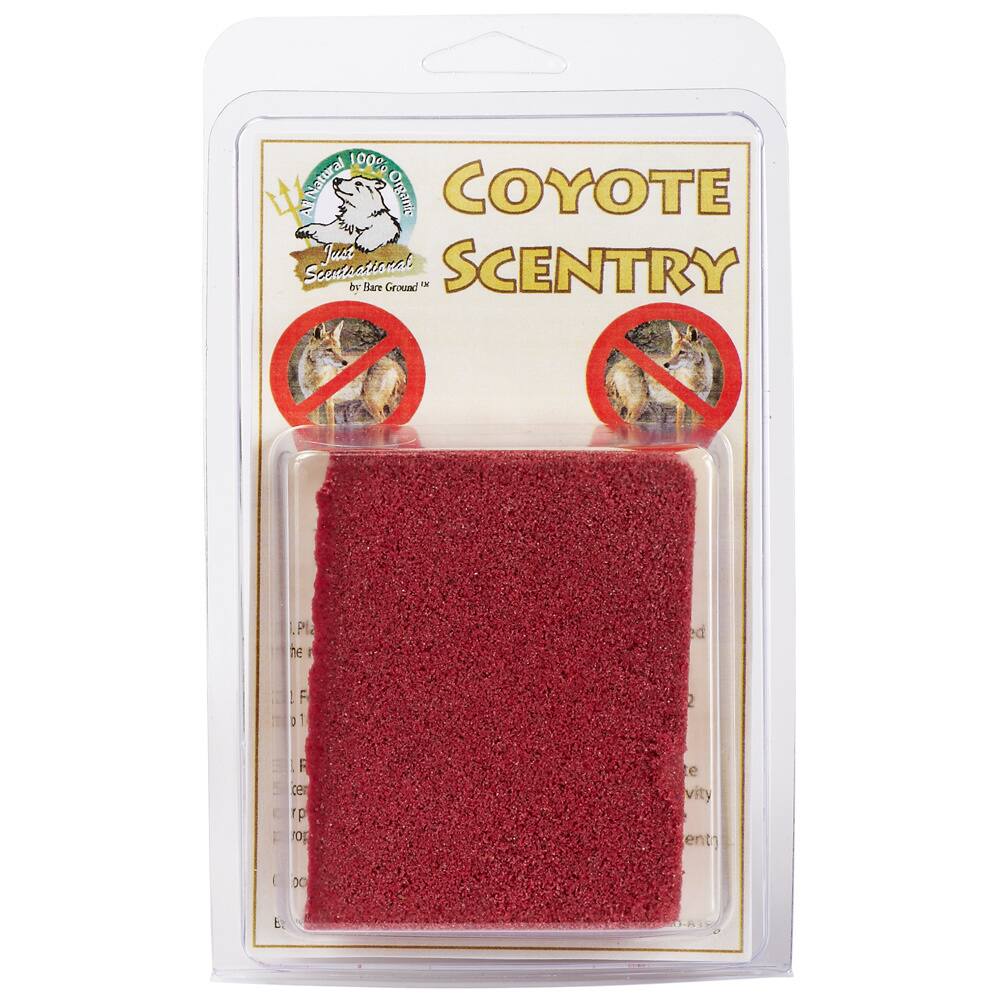 Coyote Scentry Pumice Stone