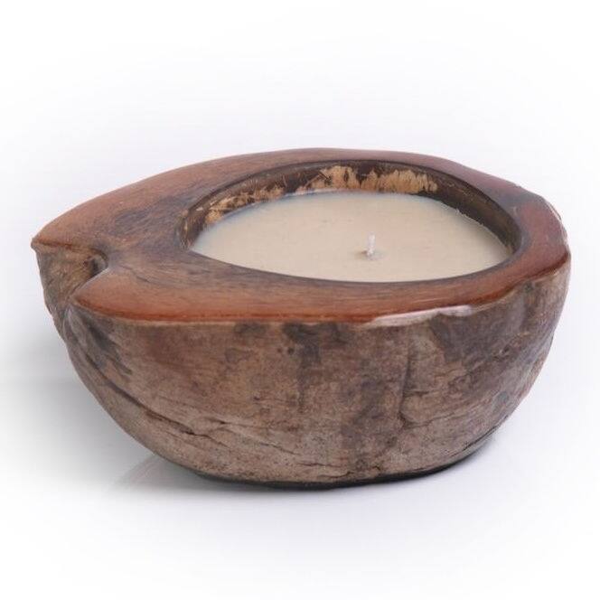 Zodax Coconut Palm Scented Candle