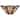 Quoizel Craftsman Art Glass 2-light Pocket Wall Sconce