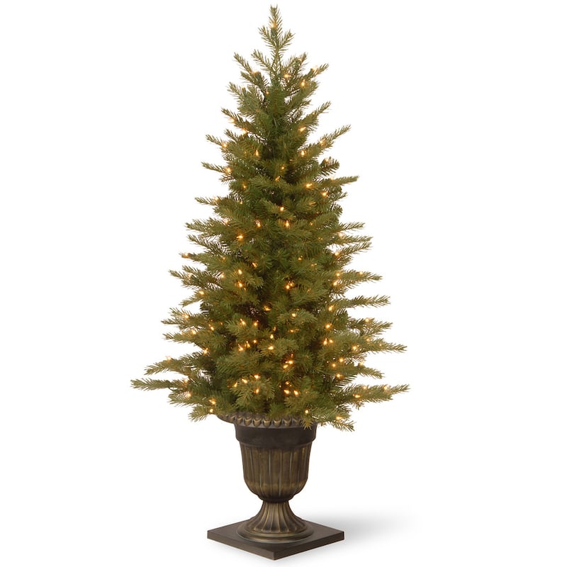 National Tree Company 4 ft. Nordic Spruce Entrance Tree with Clear Lights - 4 Foot