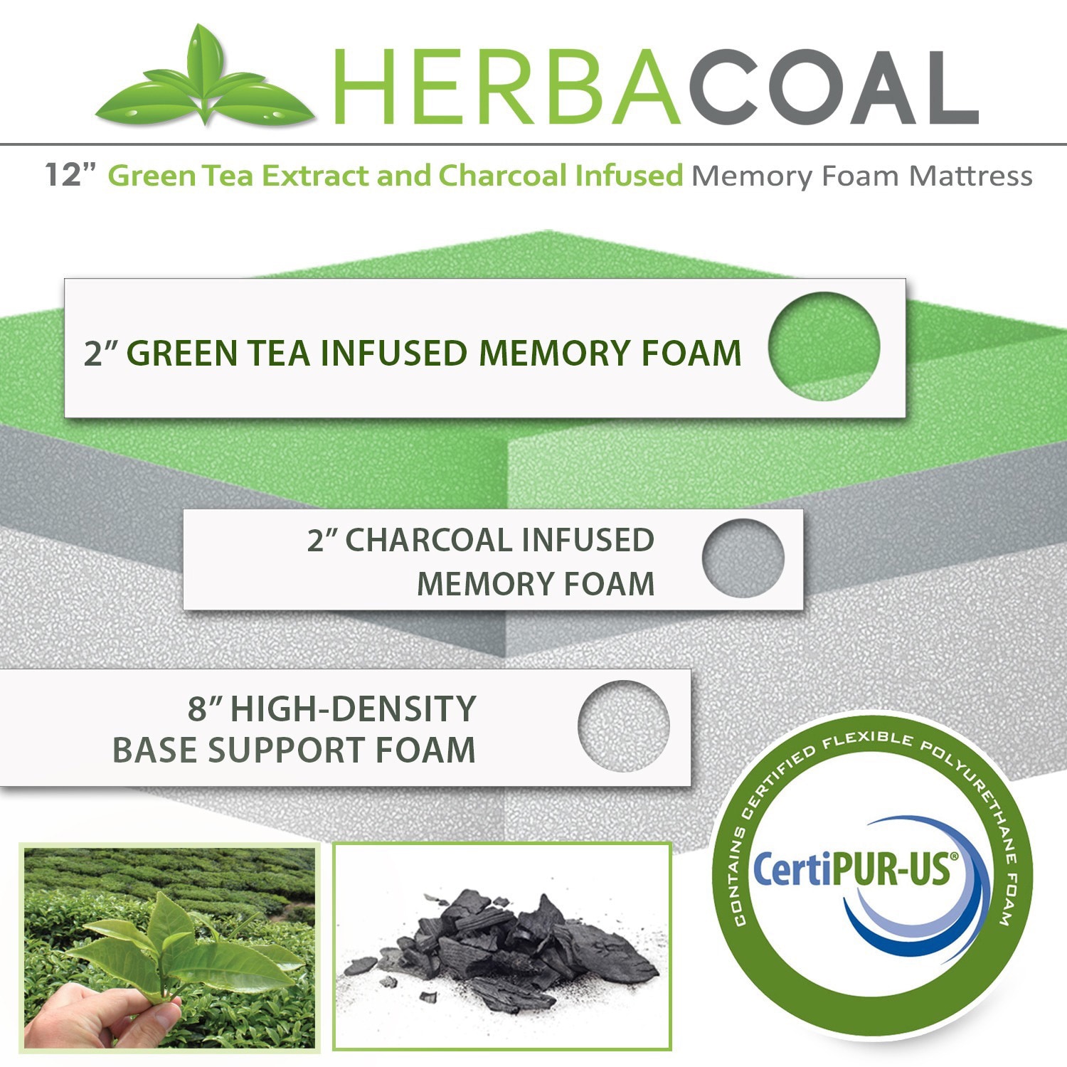 AC Pacific 12-inch Green Tea and Charcoal Memory Foam
