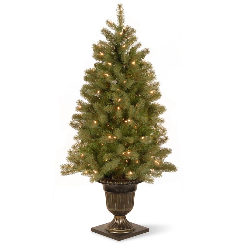 National Tree Company 4 ft. Downswept Douglas Fir Entrance Tree with Clear Lights - 4 Foot