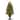 National Tree Company 4 ft. Downswept Douglas Fir Entrance Tree with Clear Lights - 4 Foot