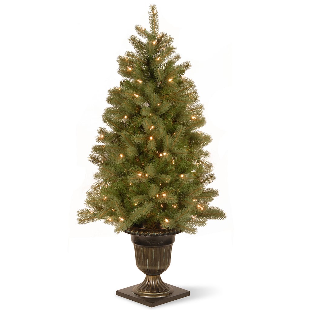 National Tree Company 4 ft. Downswept Douglas Fir Entrance Tree with Clear Lights - 4 Foot