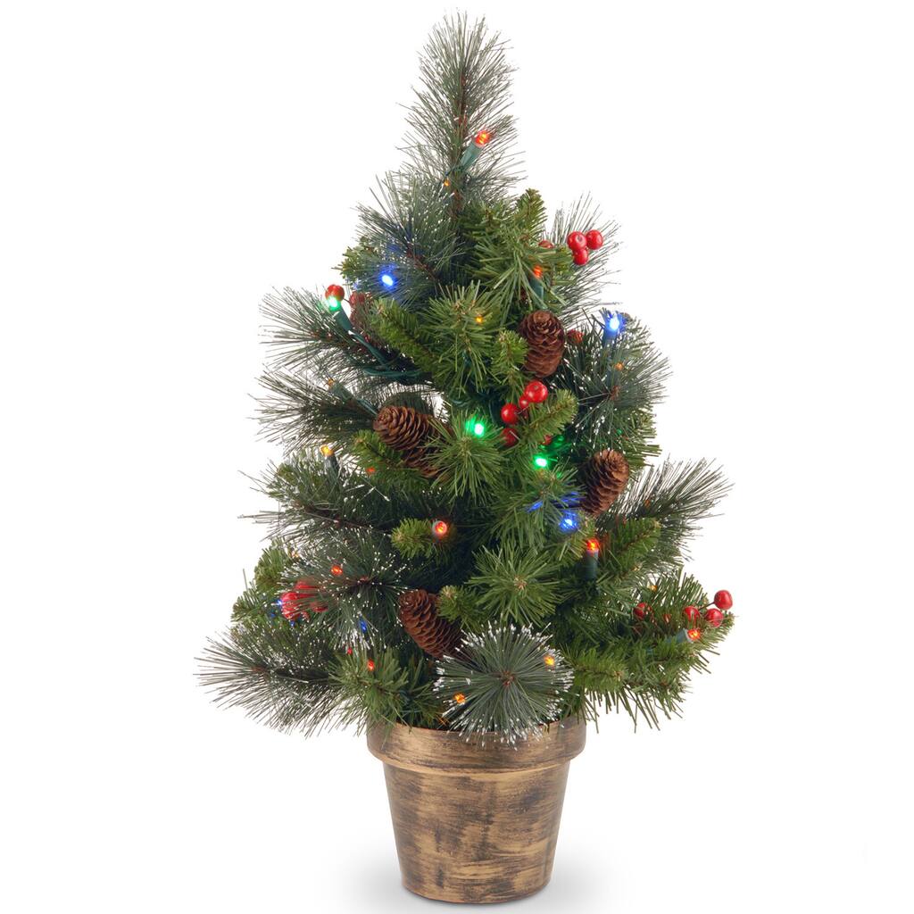 National Tree Company 2 ft. Crestwood Spruce Tree with Battery Operated Multicolor LED Lights